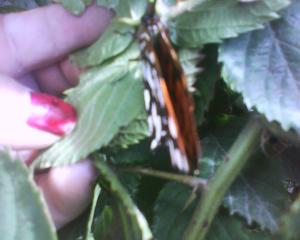 Art Factory's Mobiliario