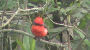 525181_10200290423676454_442333650_n